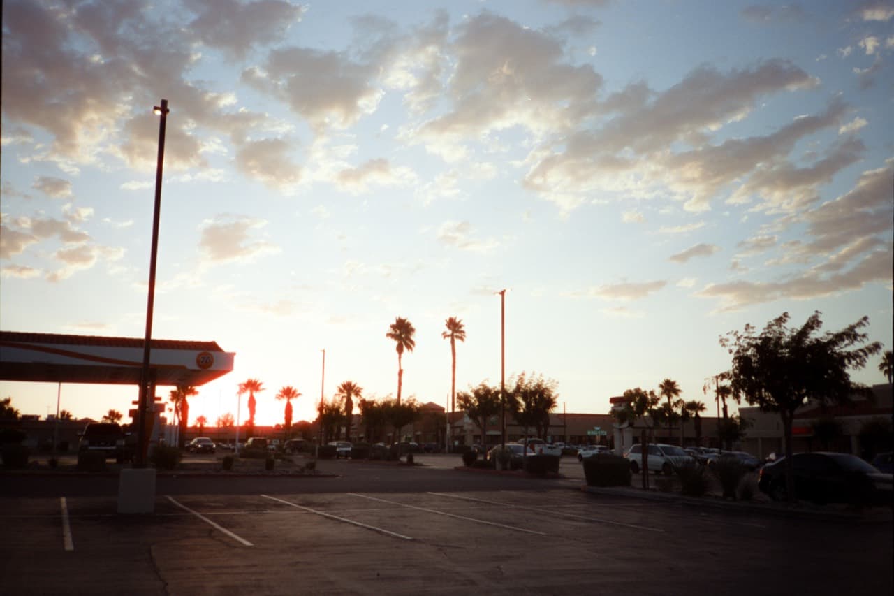 Sunset Palm Frame