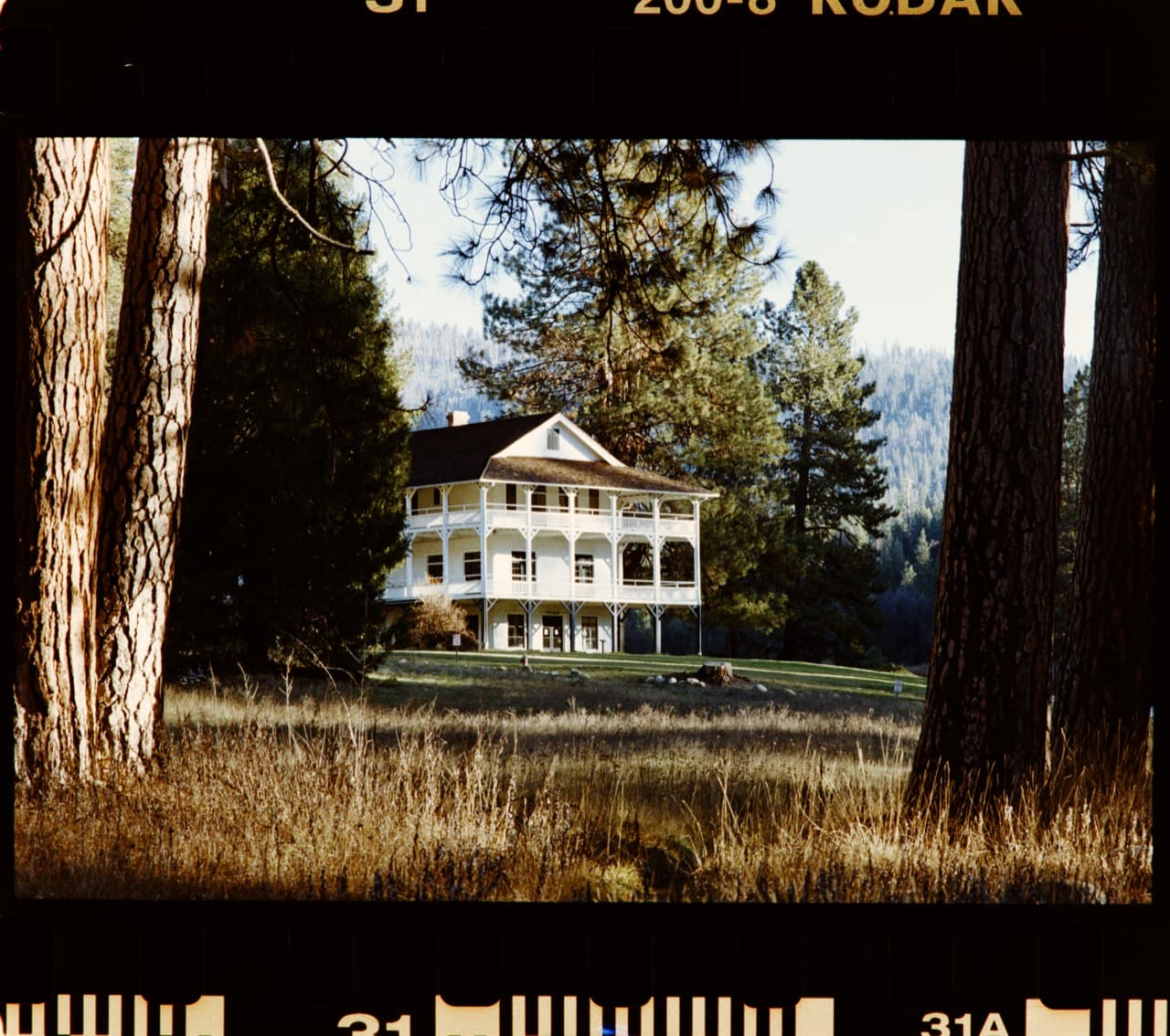 Full-border DSLR scan sample of a house between trees